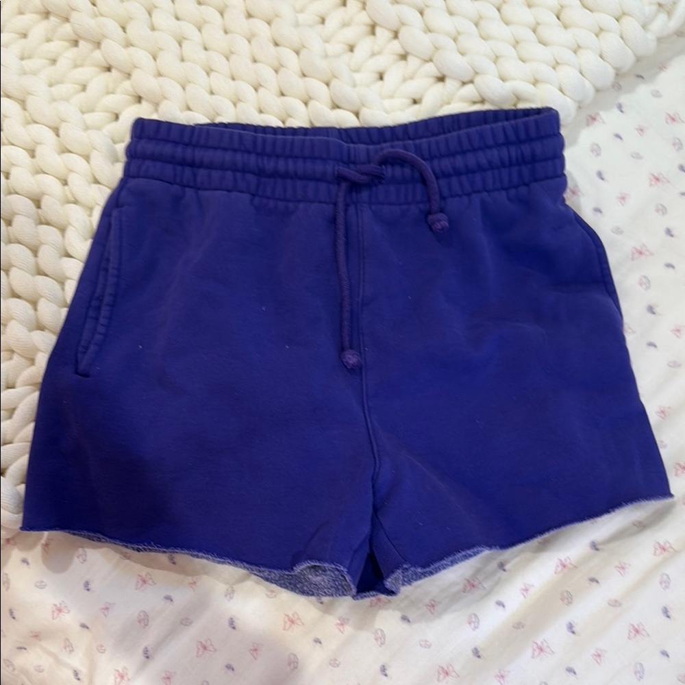 Aritzia Purple Athletic Drawstring Shorts